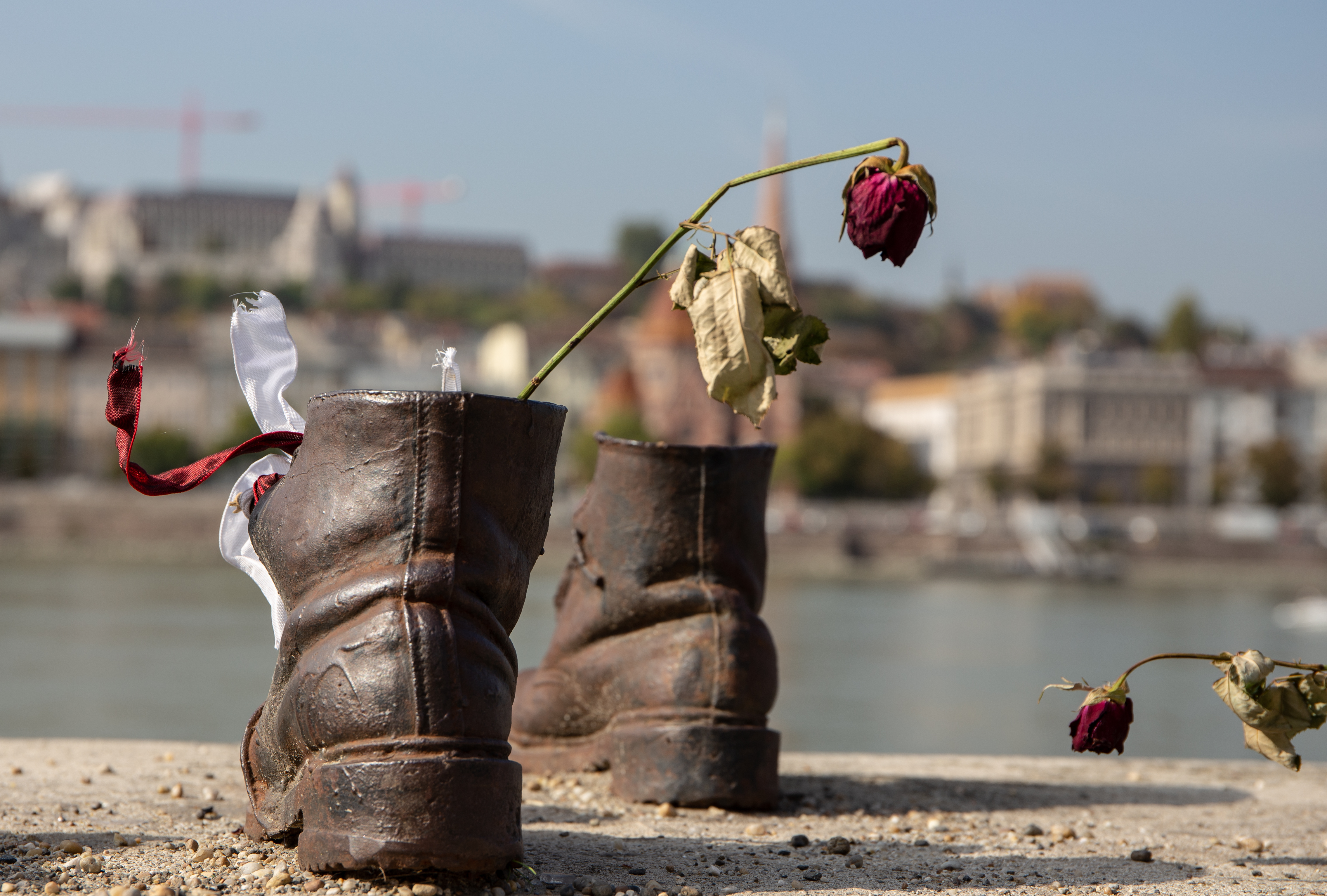 Kengät Tonavan rannalla; kuihtuneet kukat vain korostavat tätä.